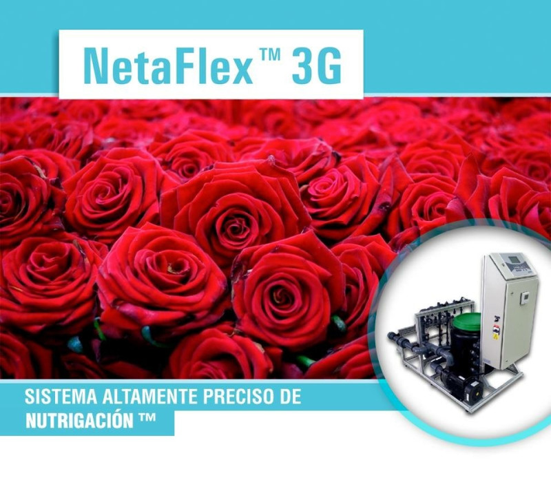 Netaflex 3G