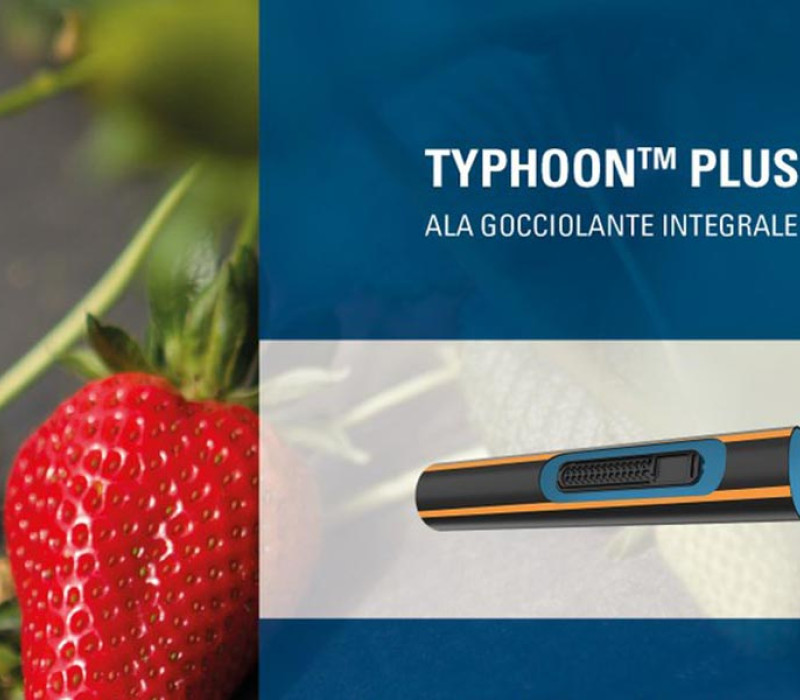 Thypoon Plus