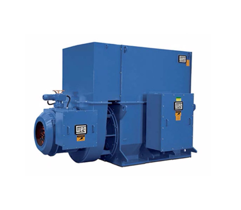 WEG motor de inducción trifásico de alta y baja tensión