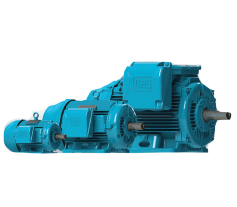 WEG W22 Motor Trifasico CAT